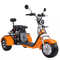 EEC Citycoco Üç Tekerlekli Bisiklet 3 Tekerlekli Elektrikli Scooter 2000w 1000w 1500w