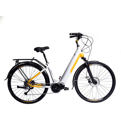 200 Watt 12 İnç Elektrikli Bisiklet Taşınabilir Pil 300 Lb Ağırlık Limiti 30 Km/H