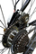 36v elektrikli bisiklet 29 inç 250W elektrikli arazi motosikleti