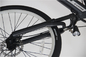 36v 200w Taşınabilir Elektrikli Bisiklet Xl Çerçeve Xs Çerçeve 12 İnç Siyah