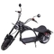Yetişkinler için Fat Tire Citycoco Elektrikli Harley Scooter 1000w 60v 2000w