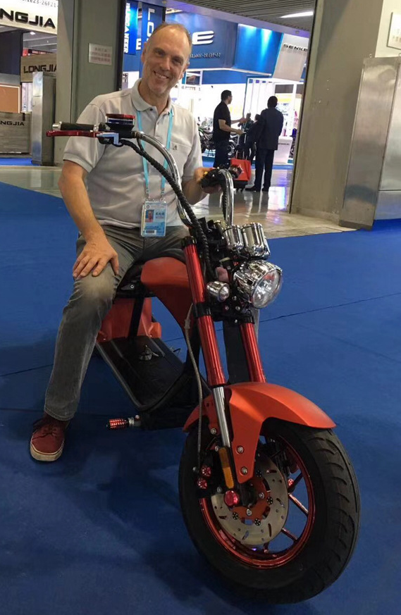 Off Road Yağ Lastik Elektrikli Bisiklet Çocuk Koltuğu ile Katlanabilir Elektrikli Yağ Lastik Ebikes 33