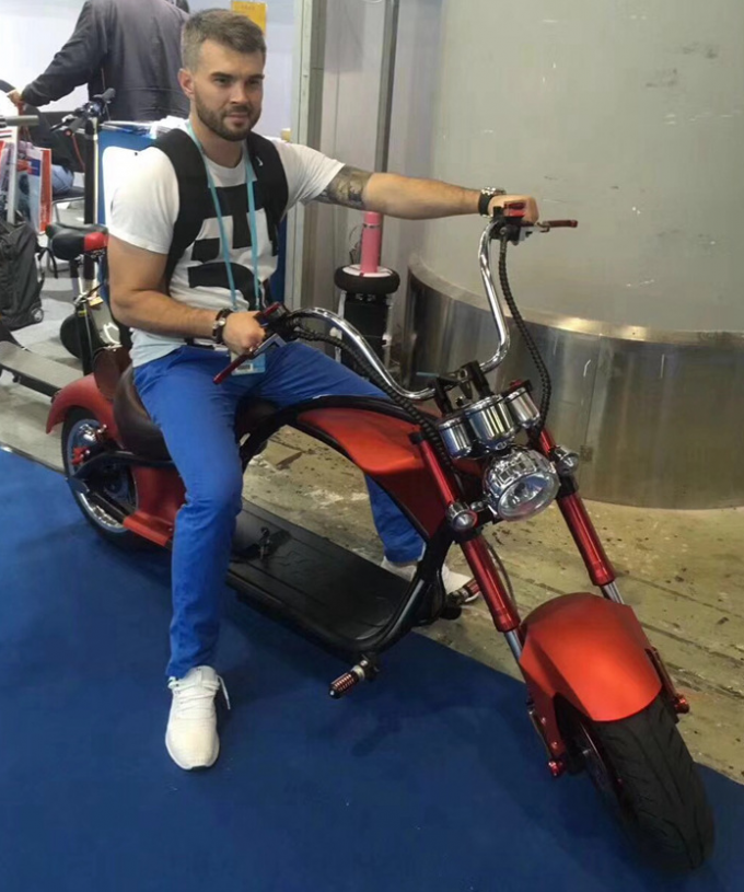 Off Road Yağ Lastik Elektrikli Bisiklet Çocuk Koltuğu ile Katlanabilir Elektrikli Yağ Lastik Ebikes 34