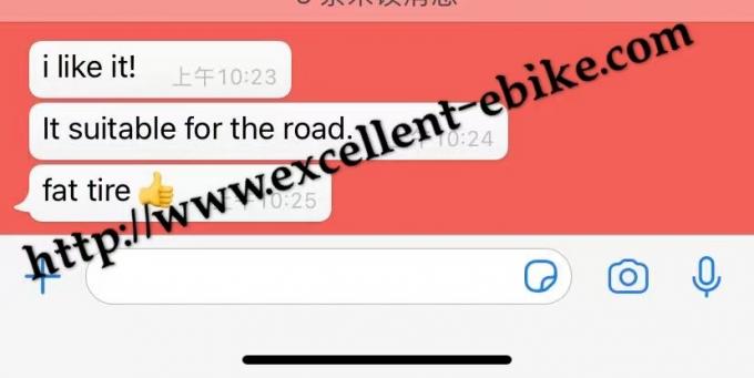 Off Road Yağ Lastik Elektrikli Bisiklet Çocuk Koltuğu ile Katlanabilir Elektrikli Yağ Lastik Ebikes 40