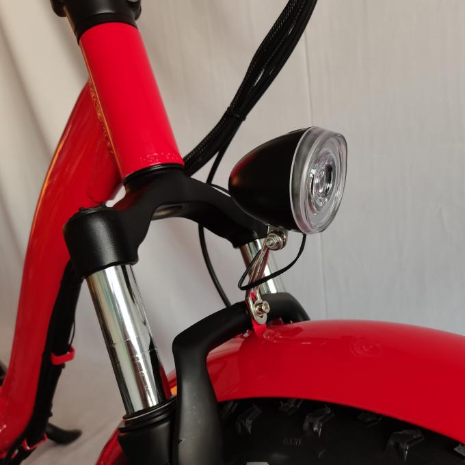 Off Road Yağ Lastik Elektrikli Bisiklet Çocuk Koltuğu ile Katlanabilir Elektrikli Yağ Lastik Ebikes 7
