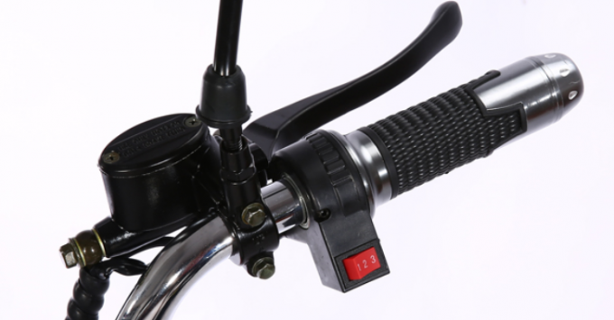 Fat Tire Harley Citycoco Elektrikli Scooter 2000w 2 Tekerlek Uzun Menzilli 15