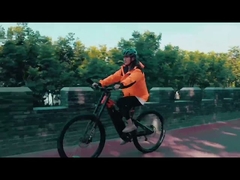 MB-01 BICICLETA ELETRICA tam süspansiyonlu elektrikli bisiklet orta amortisör 27.5 inç elektrikli bisiklet 250w