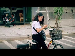 250w düşük maliyetli 48v lcd ekran şehir elektrikli kir bisikleti ab 20 inç 36V elektrikli bisiklet