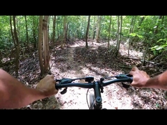 250w 750w yağ lastik göbek motoru İngiltere depo elektrikli bisiklet 29 çin'de