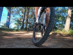 rothar leictreach ab depo yüksek kaliteli elektrikli bisiklet fiyatı düşük 36v pil elektrikli bisiklet