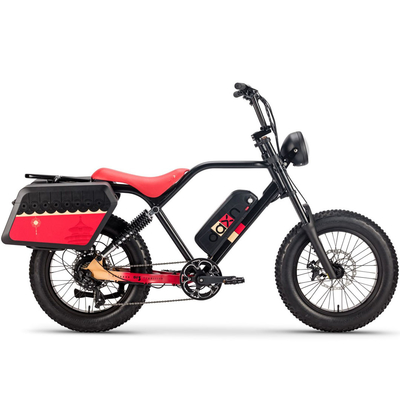 Yetişkinler için 250W 750w Elektrische Fiets Bisiklet Aküsü 48v 20AH Yağ Lastiği