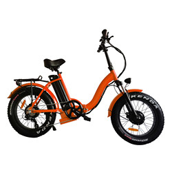 Dolphin Shape 36v 10ah Elektrikli Hibrit Bisiklet Hızlı Şarj
